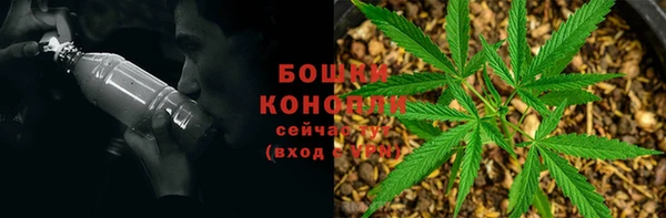 эйфоретик Беломорск
